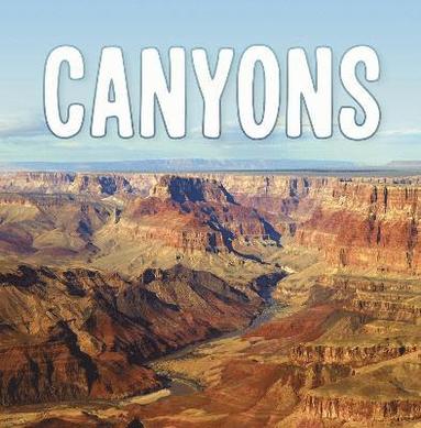 bokomslag Canyons
