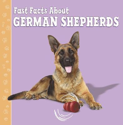 Fast Facts About German Shepherds 1