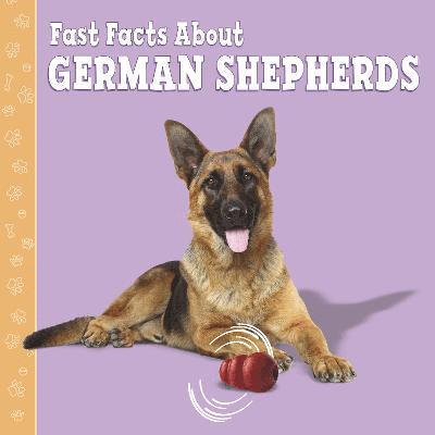 Fast Facts About German Shepherds 1