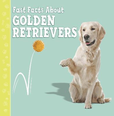 Fast Facts About Golden Retrievers 1