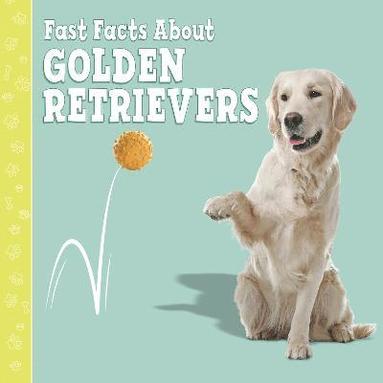 bokomslag Fast Facts About Golden Retrievers