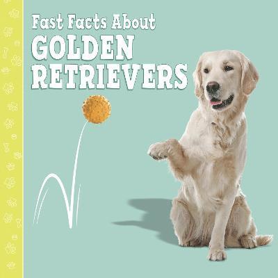Fast Facts About Golden Retrievers 1