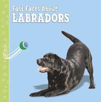 bokomslag Fast Facts About Labradors