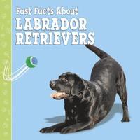 bokomslag Fast Facts About Labradors