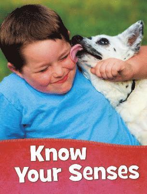 Mari Schuh - Know Your Senses, Häftad