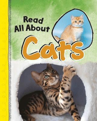 Read All About Cats 1