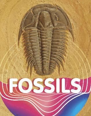 bokomslag Fossils