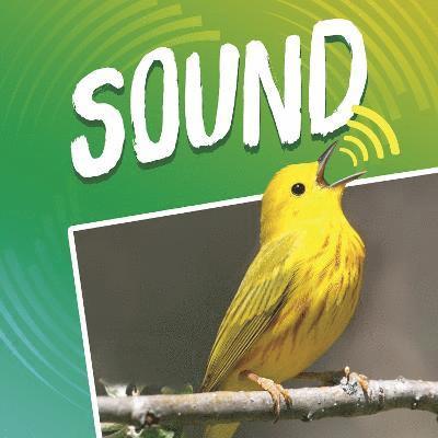 Michael (Author) Dahl - Sound, Inbunden