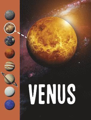 Venus 1