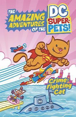 Crime-Fighting Cat 1