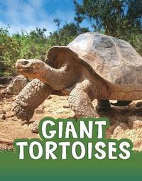 bokomslag Giant Tortoises