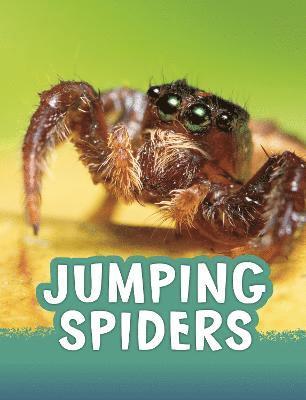 Jaclyn Jaycox - Jumping Spiders, Häftad