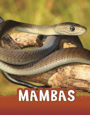 Jaycox, J: Mambas