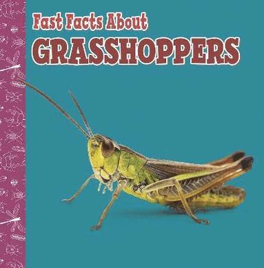 bokomslag Fast Facts About Grasshoppers