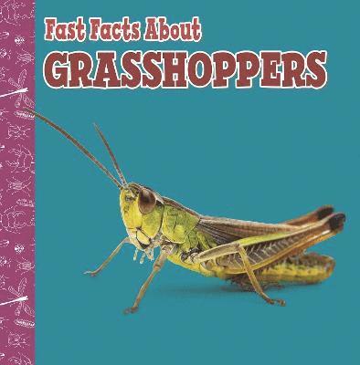 Fast Facts About Grasshoppers 1