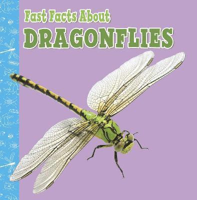 Fast Facts About Dragonflies 1