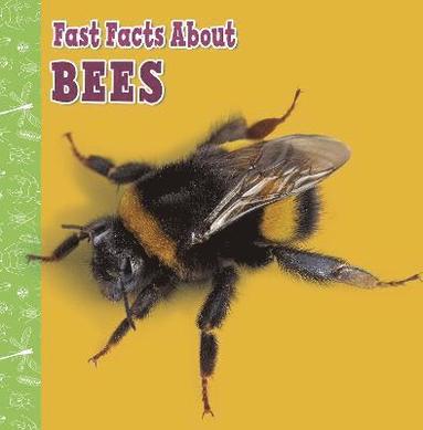 Lisa J. Amstutz - Fast Facts About Bees, Häftad