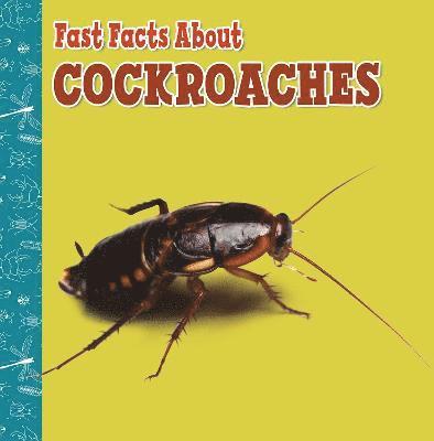 Fast Facts About Cockroaches 1