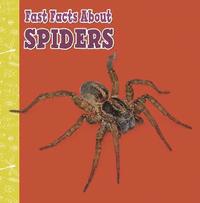 bokomslag Fast Facts About Spiders