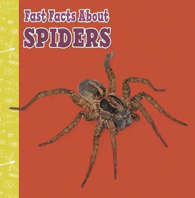 Fast Facts About Spiders 1