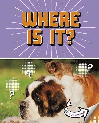 Cari Meister - Where Is It?, Inbunden