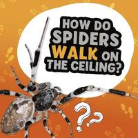 bokomslag How Do Spiders Walk on the Ceiling?