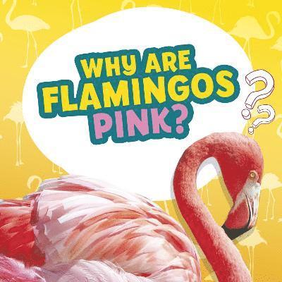 Why Are Flamingos Pink? 1