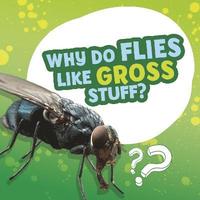 bokomslag Why Do Flies Like Gross Stuff?