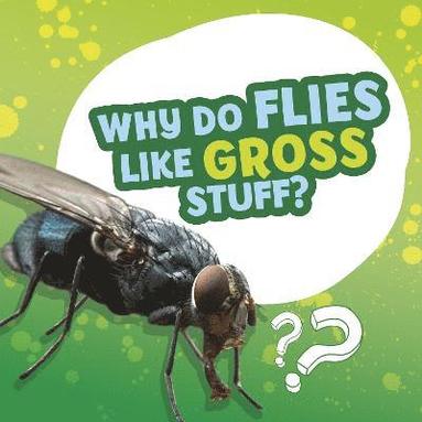 Ellen Labrecque - Why Do Flies Like Gross Stuff?, Inbunden
