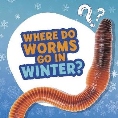 Ellen Labrecque - Where Do Worms Go in Winter?, Häftad