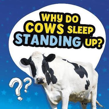 Nancy Dickmann - Why Do Cows Sleep Standing Up?, Häftad