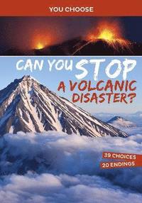bokomslag Can You Stop a Volcanic Disaster?