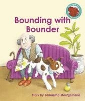 bokomslag Bounding with Bounder