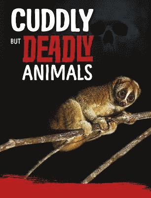 Cuddly But Deadly Animals 1