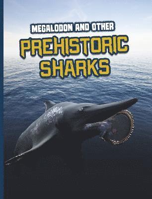 bokomslag Megalodon and Other Prehistoric Sharks