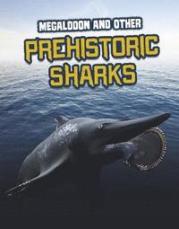 bokomslag Megalodon and Other Prehistoric Sharks