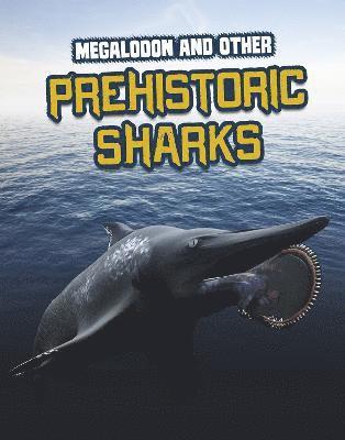 Megalodon and Other Prehistoric Sharks 1