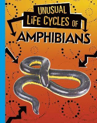 bokomslag Unusual Life Cycles of Amphibians