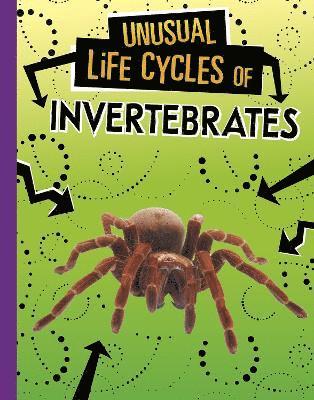bokomslag Unusual Life Cycles of Invertebrates