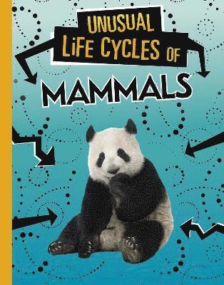 Jaclyn Jaycox - Unusual Life Cycles of Mammals, Inbunden