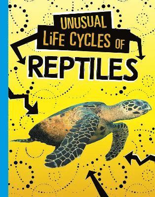 Jaclyn Jaycox - Unusual Life Cycles of Reptiles, Inbunden