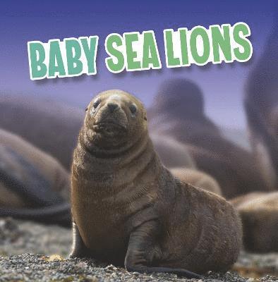 Martha E. H. Rustad - Baby Sea Lions, Inbunden