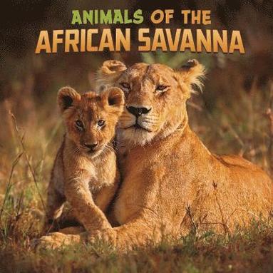 bokomslag Animals of the African Savanna