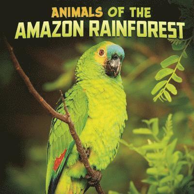 Animals of the Amazon Rainforest 1