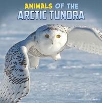 bokomslag Animals of the Arctic Tundra