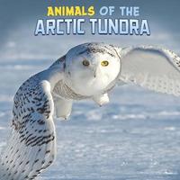 bokomslag Animals of the Arctic Tundra