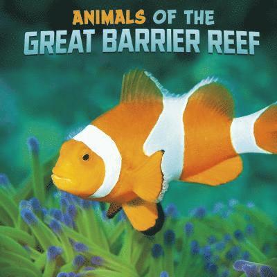 Animals of the Great Barrier Reef 1