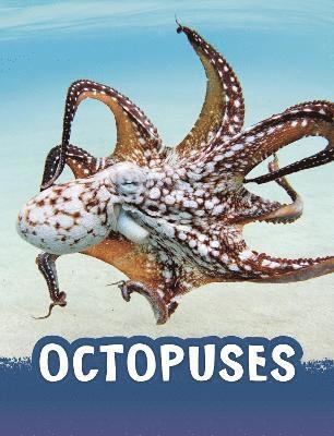 Jaclyn Jaycox - Octopuses, Häftad