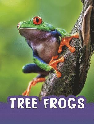 Jaclyn Jaycox - Tree Frogs, Inbunden