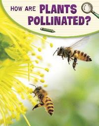 bokomslag How Are Plants Pollinated?